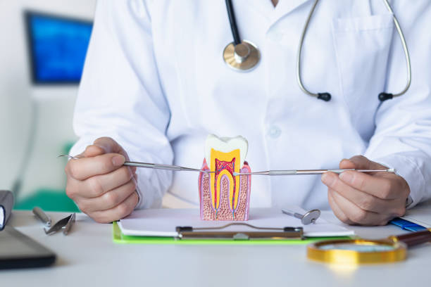 Best Emergency Dentist for Lost Fillings or Crowns in Hallsville, TX